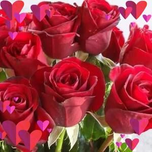 Meet your Posher, Huma